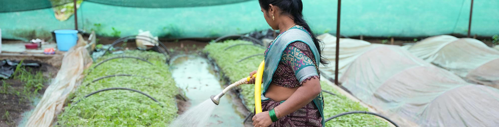 How Skill Development Can Increase Rural Employment